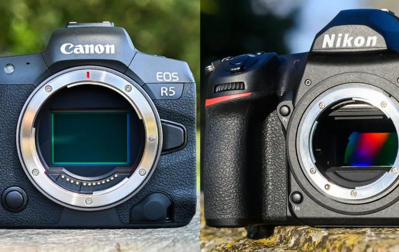 What’s the Difference Between a Mirrorless Camera and a DSLR? A Detailed Comparison