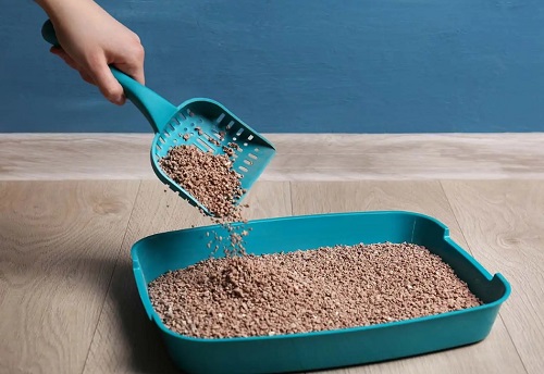 How Often to Change Cat Litter Box for a Fresh Home