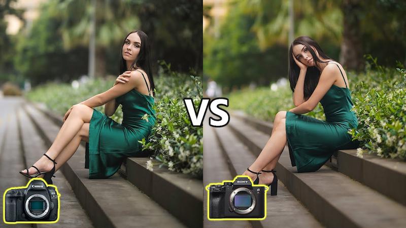 Difference Between A Mirrorless Camera And A Dslr