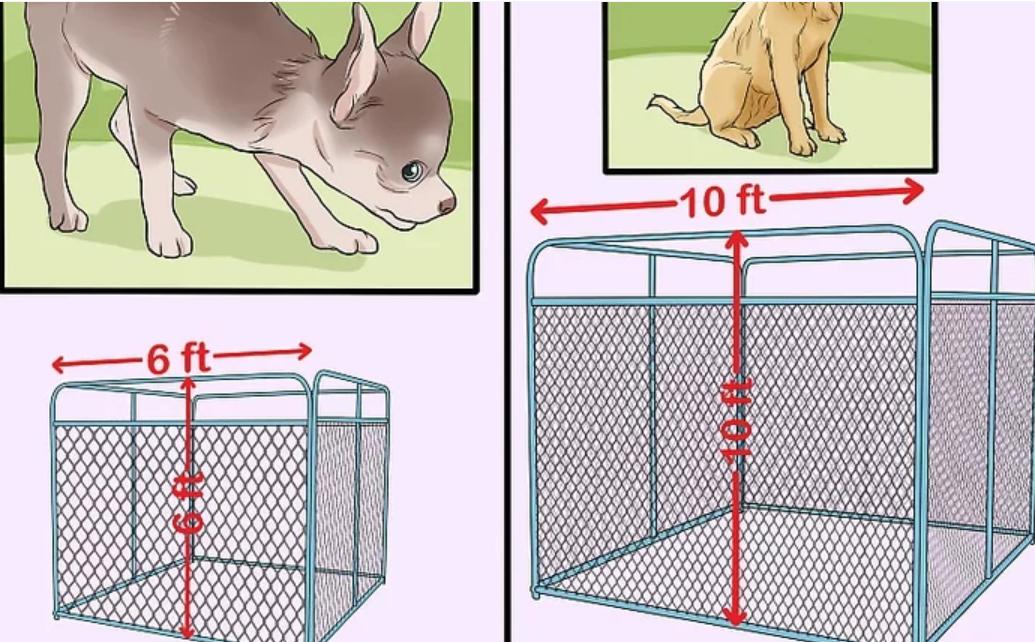 How to Build a Dog Pen for Small and Large Breeds