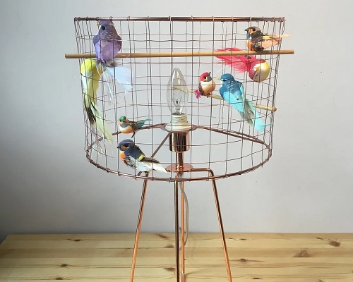 How to Make a Bird Cage That’s Safe and Comfortable