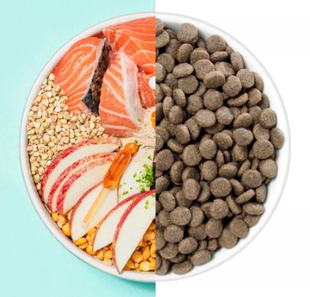 What Is the Best Dog Food for Dogs with Allergies? Top Picks